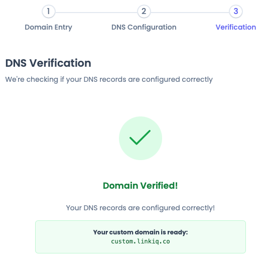 Custom Domains Interface